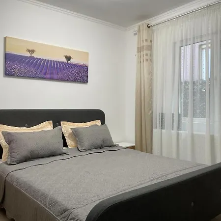Casa Cu Curte Case de vacanță